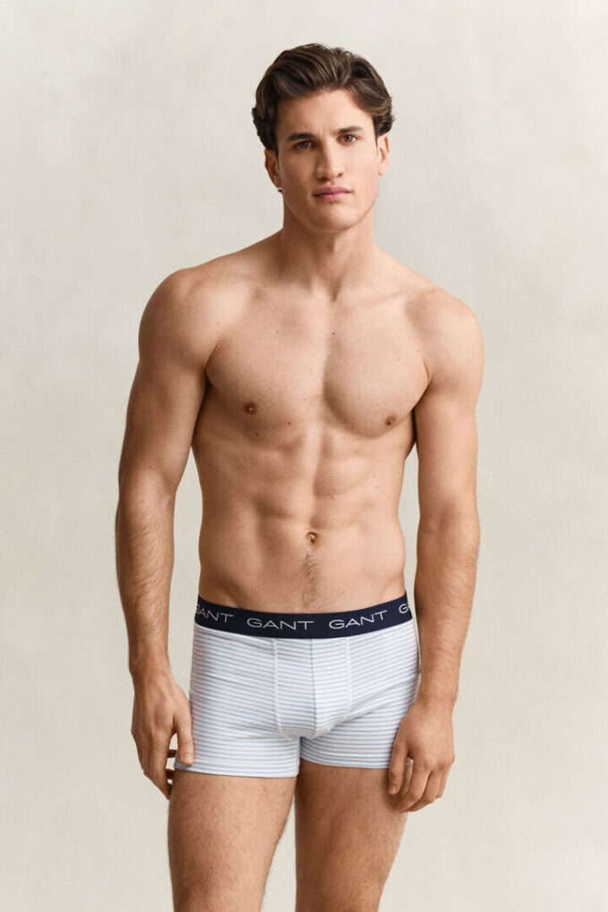3-Pack Striped Trunks