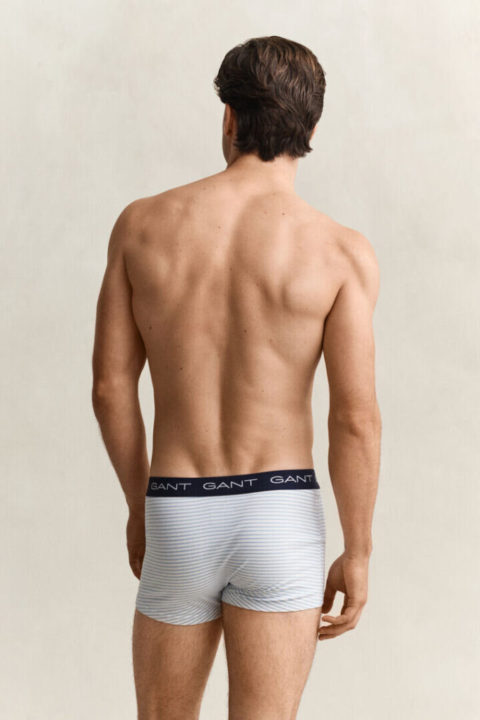 3-Pack Striped Trunks