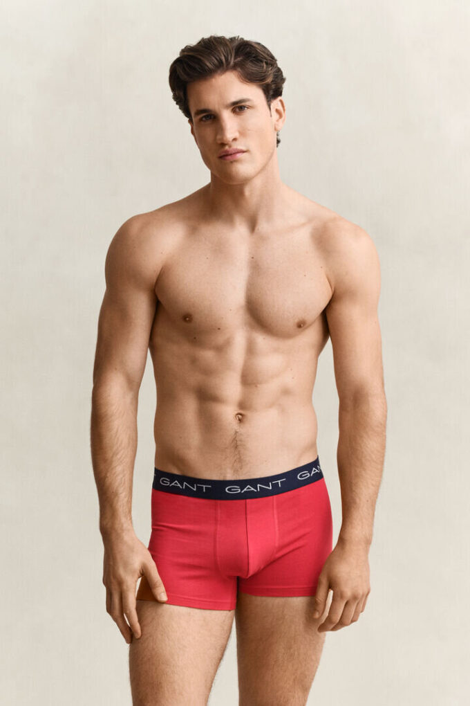 3-Pack Trunks