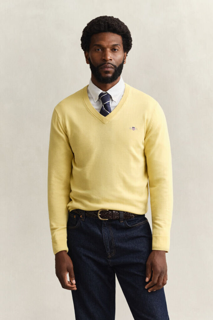 Classic Cotton V-Neck Sweater