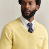 Classic Cotton V-Neck Sweater