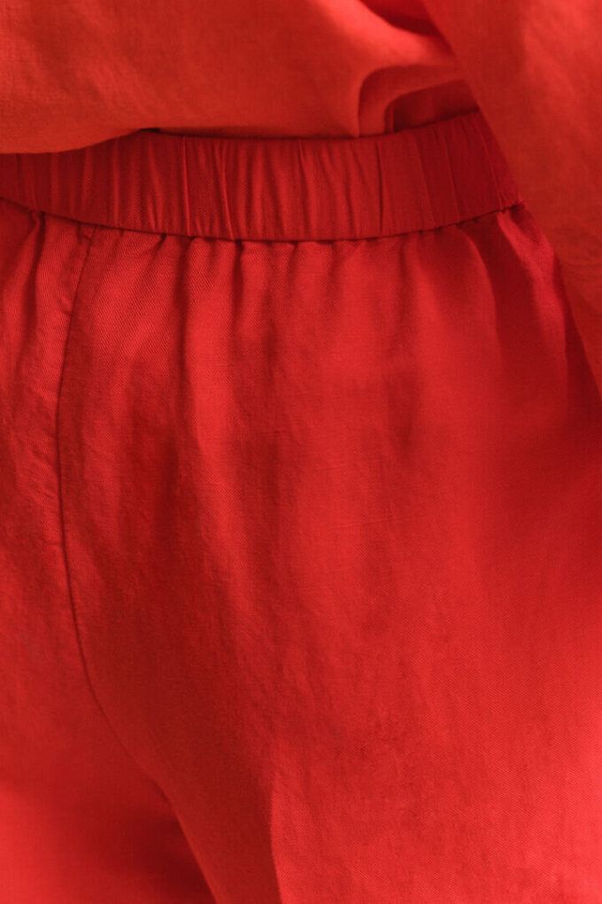 Linen Blend Shorts