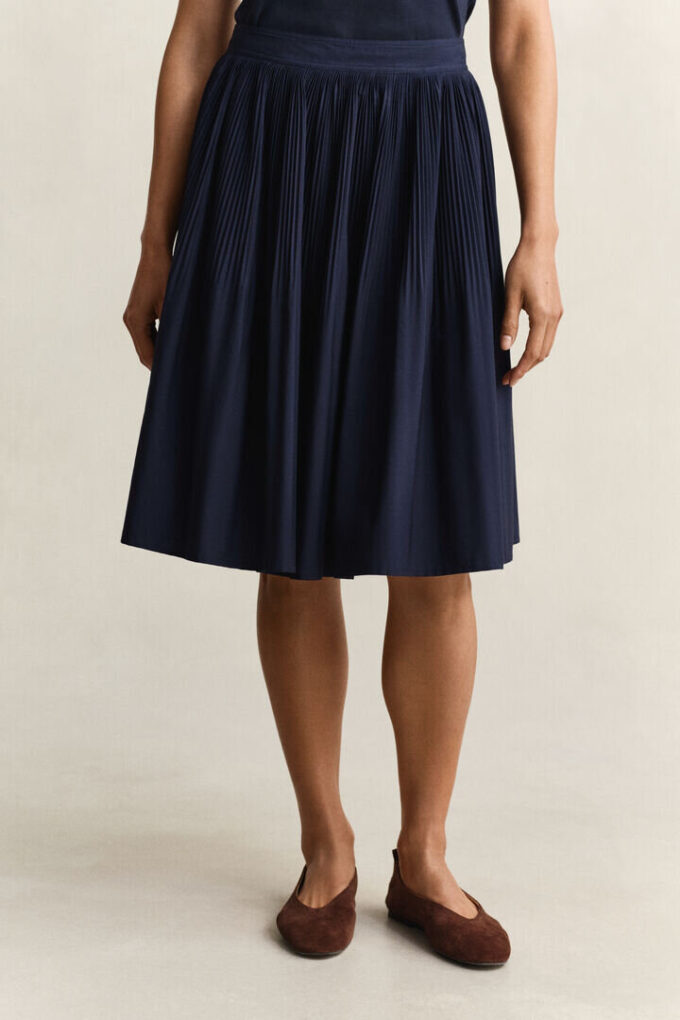 Pleated Skirt