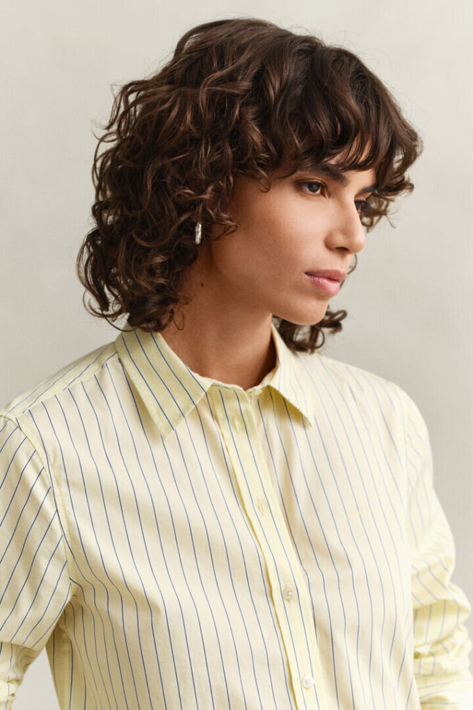 Regular Fit Classic Striped Poplin Shirt