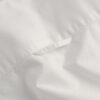 Slim Fit Classic Oxford Shirt