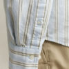 Striped Archive Oxford Shirt