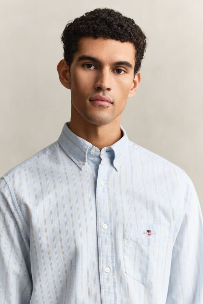 Striped Classic Oxford Shirt