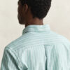 Striped Classic Oxford Shirt