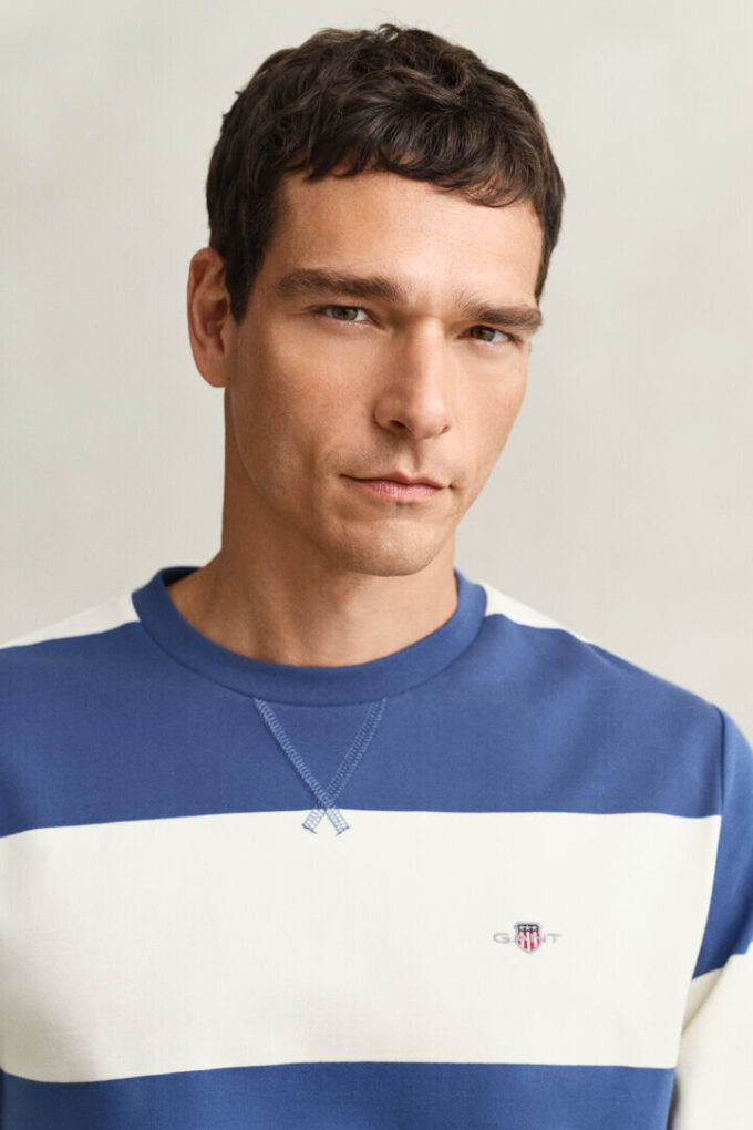 Striped Crew Neck Sweatshirt