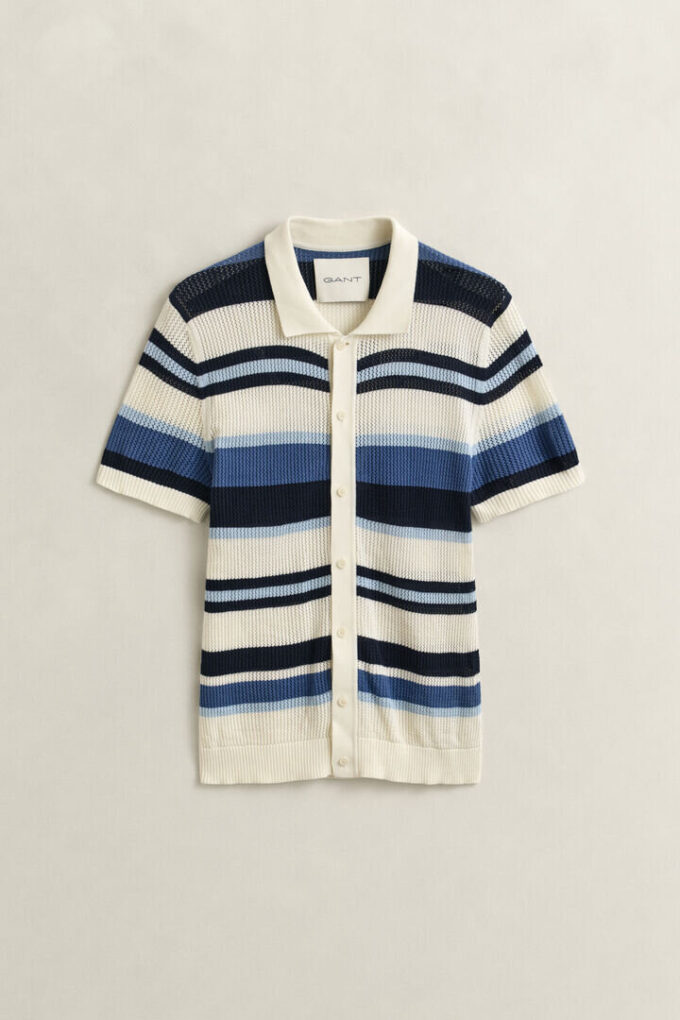 Striped Polo Sweater