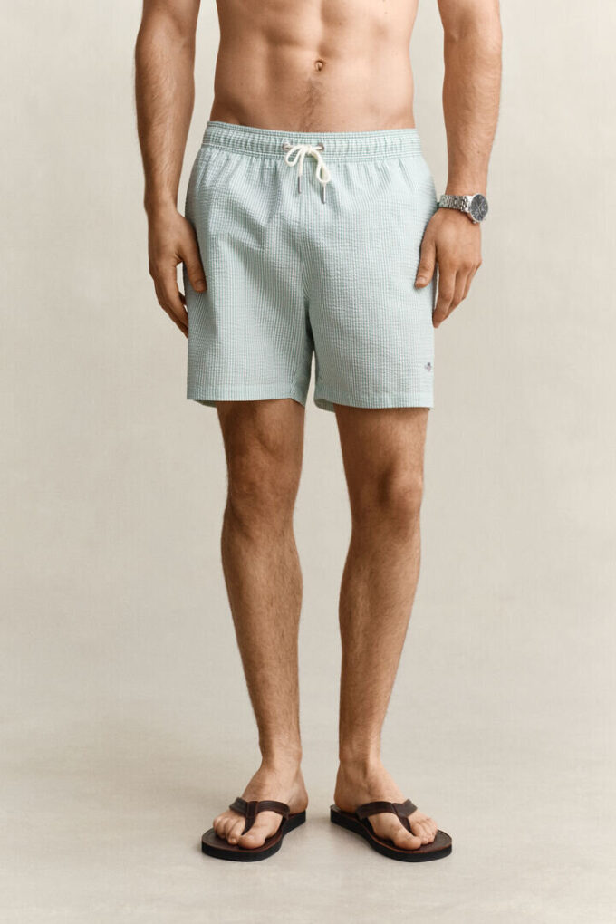 Striped Seersucker Swim Shorts