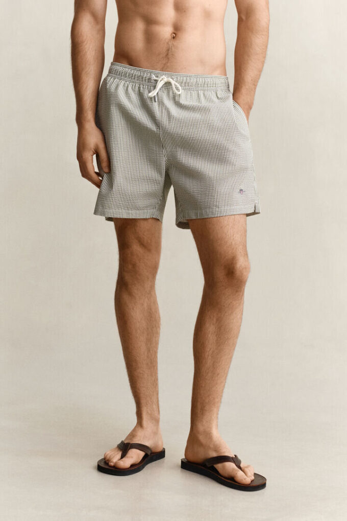 Striped Seersucker Swim Shorts