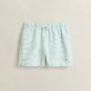Striped Seersucker Swim Shorts