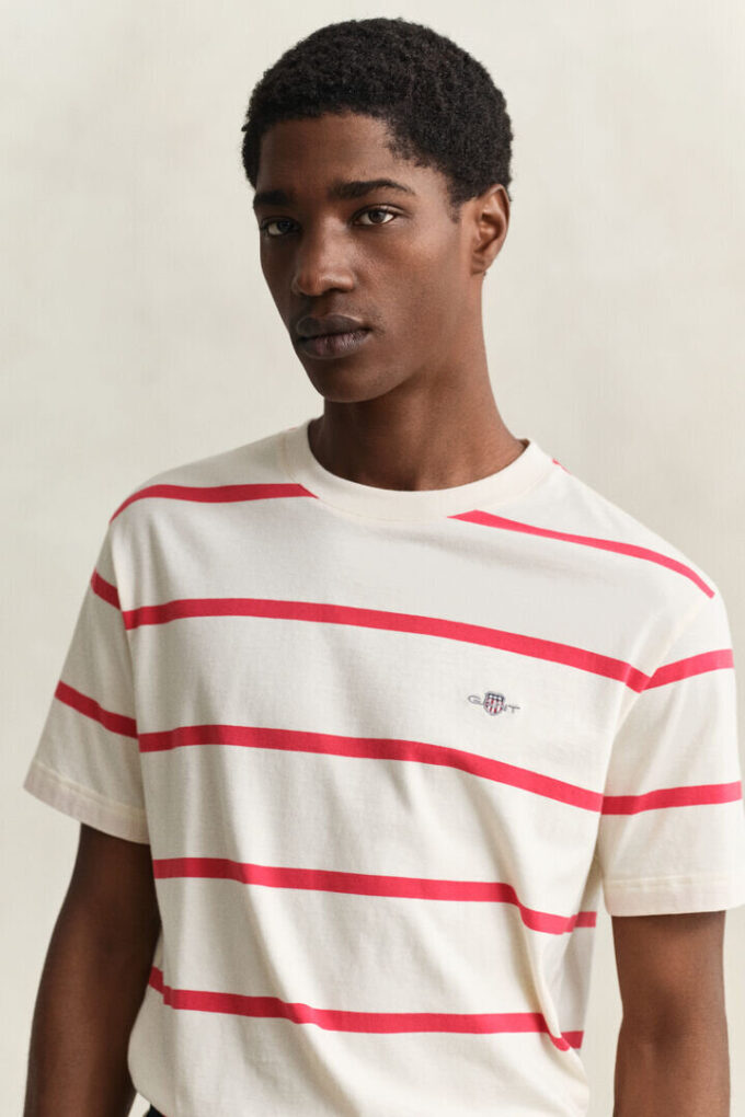 Striped T-Shirt